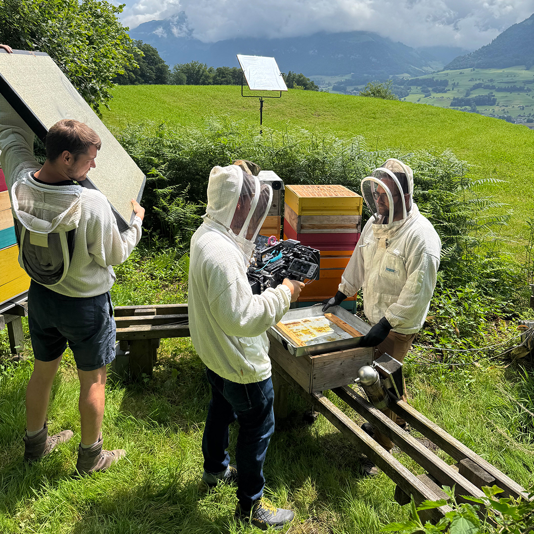 Filmen beim Imker