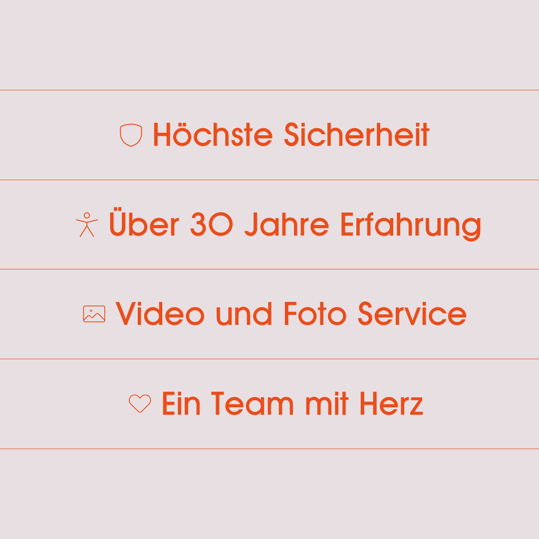 Facts der Firma Skyglide